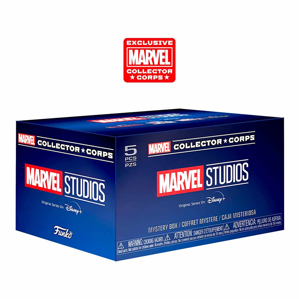 Foto de Funko Box Exclusiva Marvel - Marvel Studios Disney+ (Collector Corps Disney Plus)