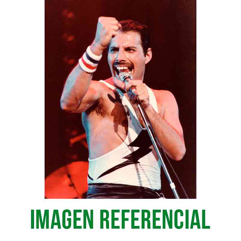 Foto de Funko Freddie Mercury Queen Music Funko Pop 00